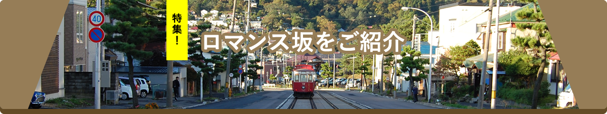 特集!ロマンス坂をご紹介