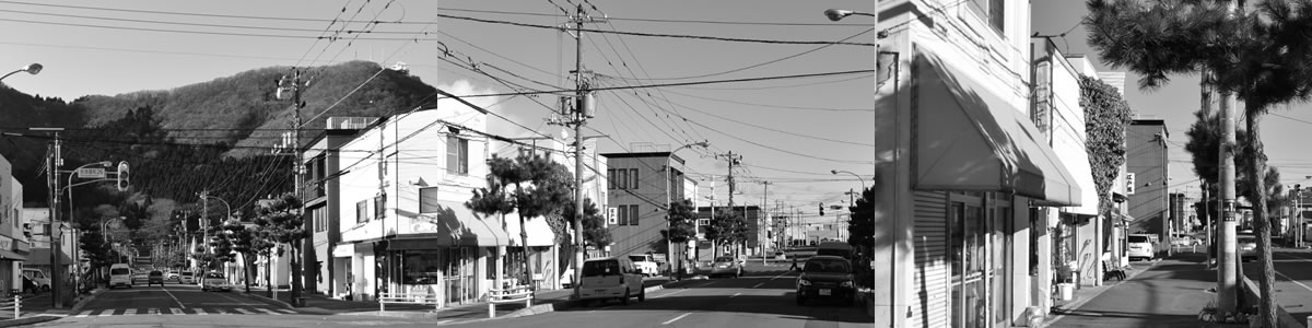 昭和レトロチック商店街 からGOALの谷地頭町電停へ